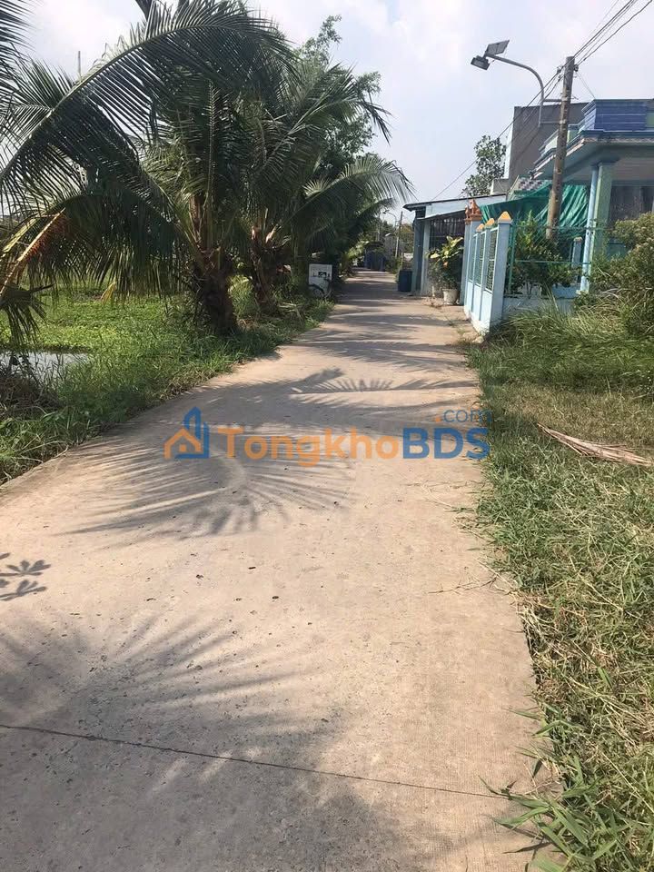 Bán Gấp Đất Lúa 1000m² Sổ Đỏ Riêng Tại Cần Giuộc, Long An - Giá Tốt