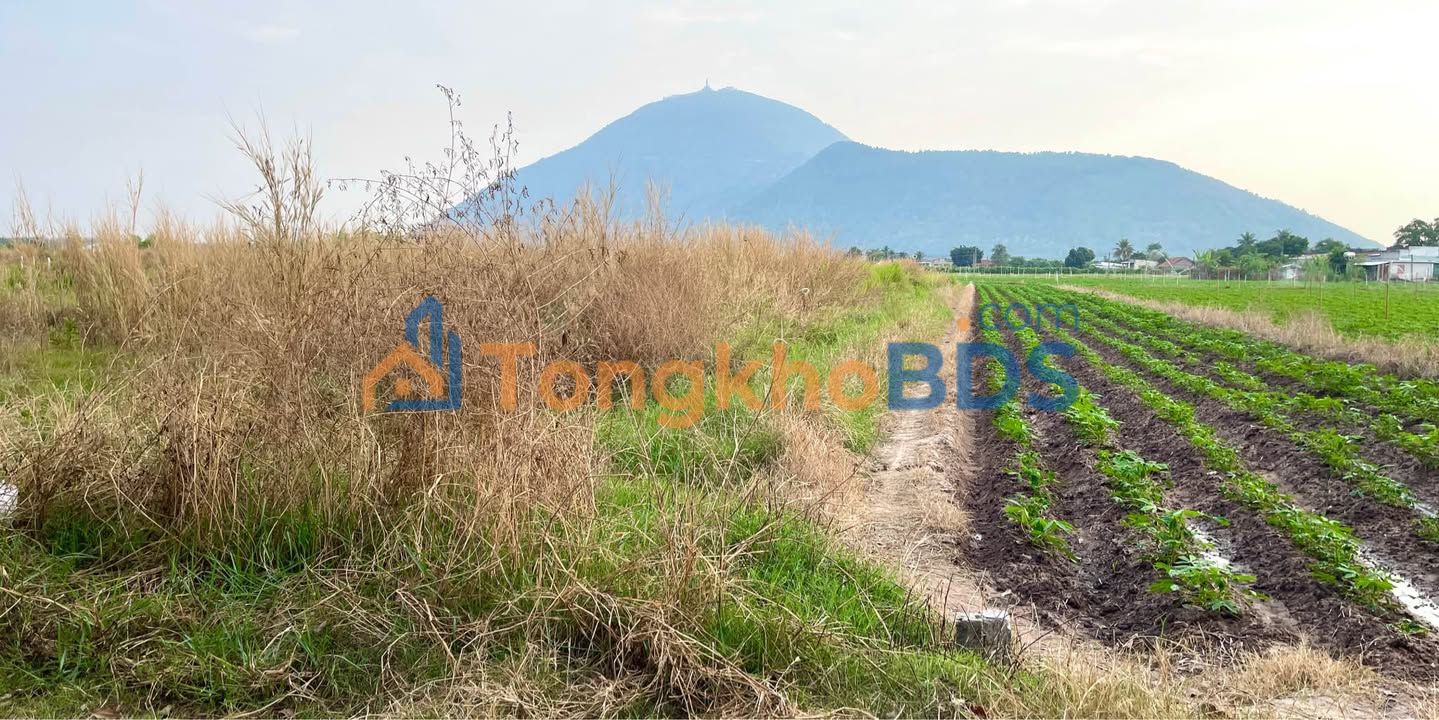 Đất Nền 1090m² Phường Bình Minh, TP Tây Ninh - Sổ Riêng Giá Chỉ 495 Triệu