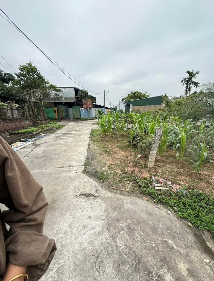 Bán Đất Nền 112.5m² Móng Cái - Lô Góc 2 Mặt Tiền, Sổ Đỏ Chính Chủ