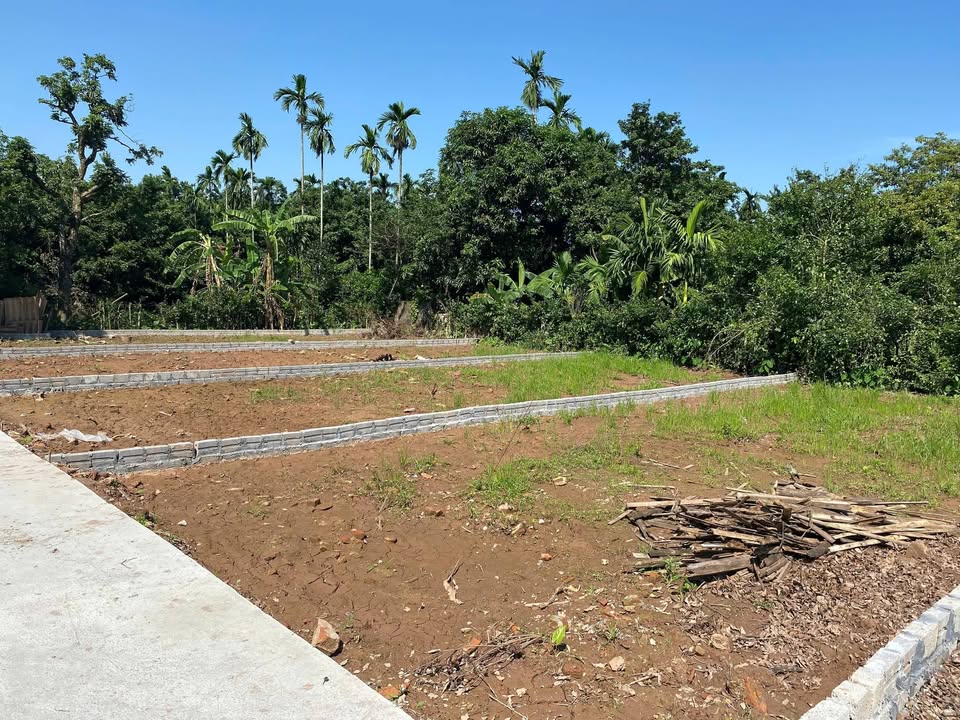 Đất Nền Lý Nhân Hà Nam 115m² - Sổ Đỏ Chính Chủ, Đường Ô Tô