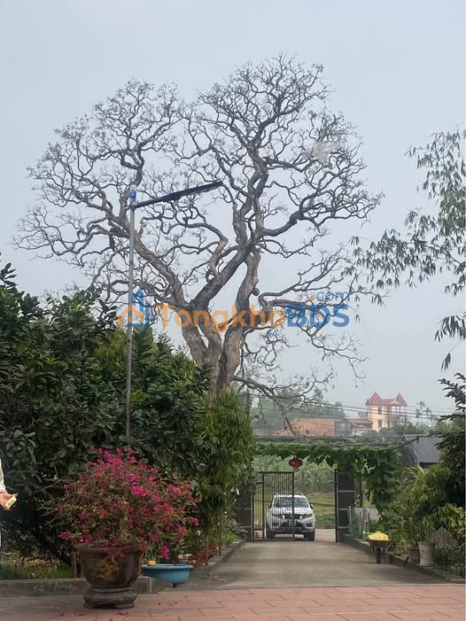 Nhà Mặt Tiền Phùng Chí Kiên, Phổ Yên 80m² - Kinh Doanh Sầm Uất, Giá Hơn 5 Tỷ