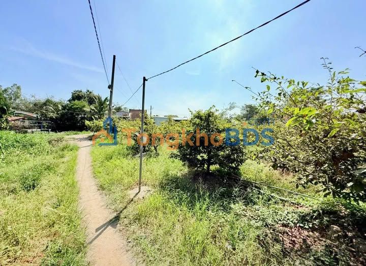 Đất nền Hòa Bình Chợ Mới 110m² 220 triệu - Sổ đỏ chính chủ