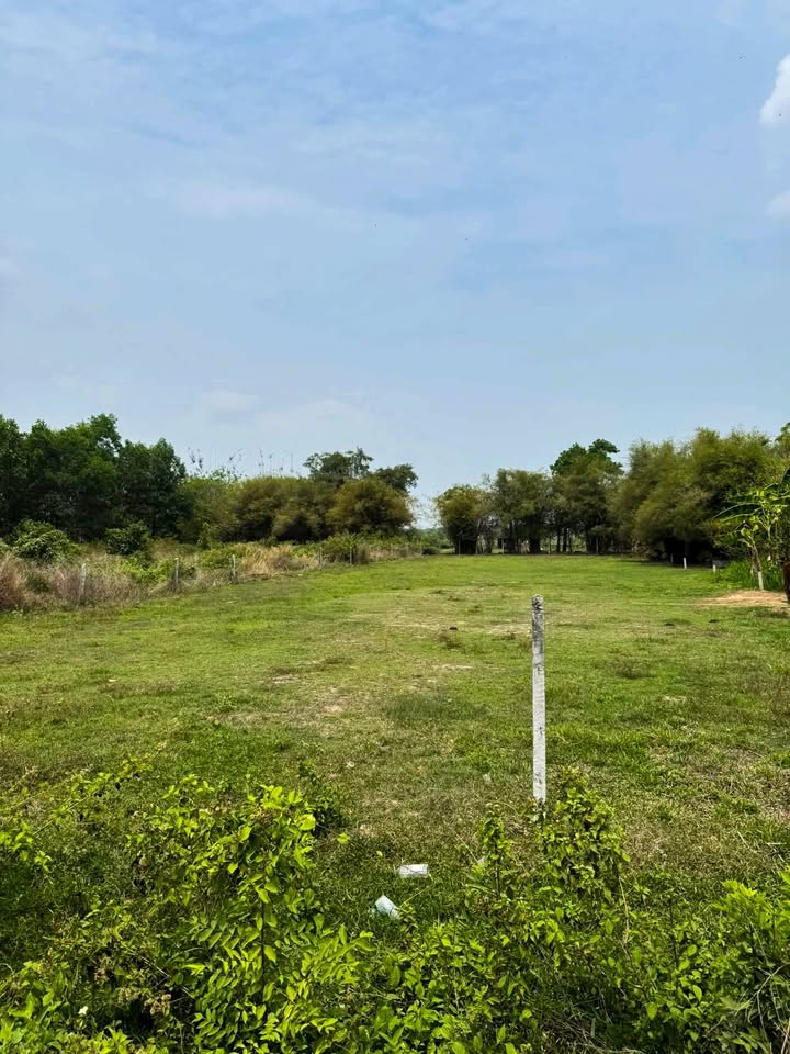 Bán Gấp 2 Lô Đất Vàng 790m² Tại Xã Long Thuận, Tây Ninh - Sổ Hồng Sẵn Sàng