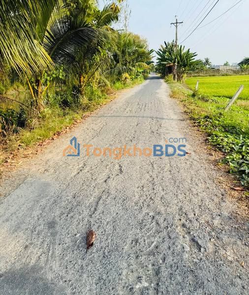 Đất Vườn Thoại Sơn 1000m² - Sẵn Ao Cá & Vườn Cây Ăn Trái