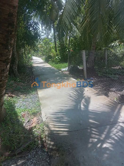 Đất nền 166m² Quới Sơn, Châu Thành, Bến Tre - Gần KCN Giao Long, Giá 450 Triệu