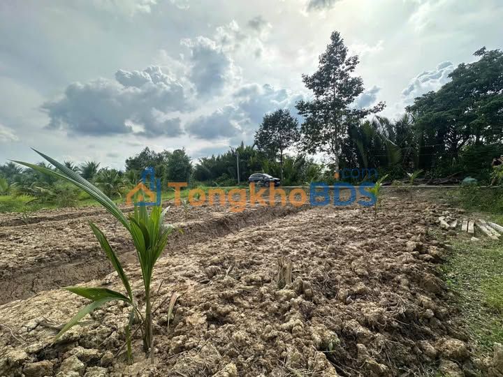 Đất Vườn Phú Khương Bến Tre 833m² - Sổ Hồng Riêng, Giá 550 Triệu