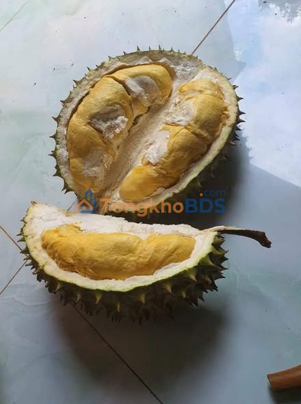 Bán gấp 1ha đất Sầu riêng Hàng Gòn, Long Khánh - Thu hoạch ổn định