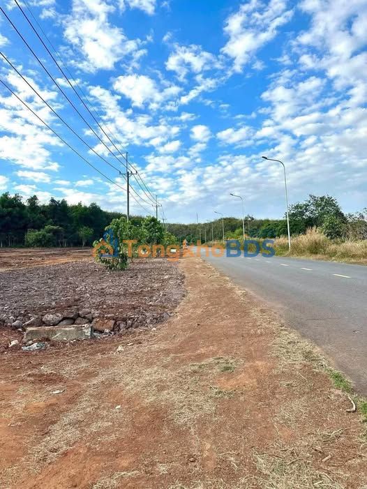 Đất Song Hành Thống Nhất Đồng Nai - 290m² Sổ Hồng Full Thổ Cư - Giá 2.4 Tỷ