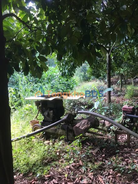 Bán Đất Vườn 9224m² Mặt Tiền DT773 - Cẩm Mỹ, Đồng Nai - Giá 6.9 Tỷ