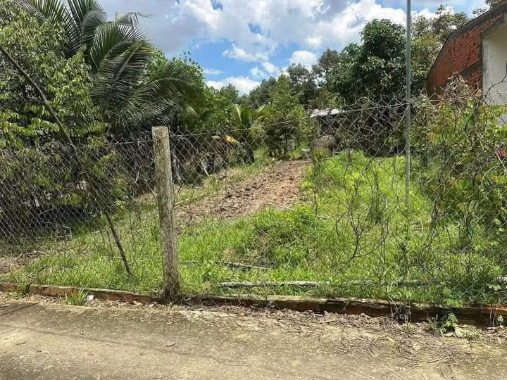 Đất Vườn Bến Tre 400m² - Trồng Sầu Riêng, Dừa Xiêm - Giá 260 Triệu