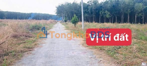 Đất Nền Minh Long Chơn Thành 120m² - Giá Đầu Tư 2xx Triệu