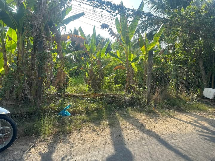 Đất Vị Trí Vàng Phường Phú Khương, Bến Tre - 312m² Giá 1.85 Tỷ