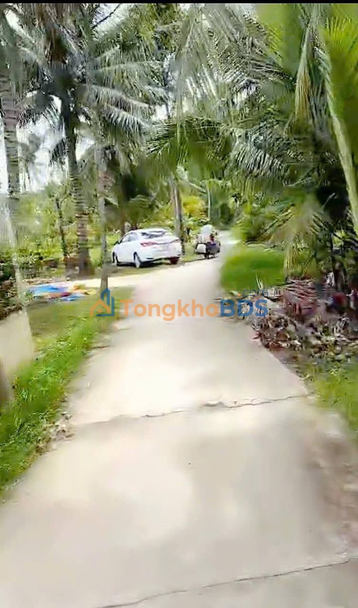 Đất Vườn Bến Tre - 628m² An Thới Mỏ Cày Nam, Lộc Ngay 429 Triệu