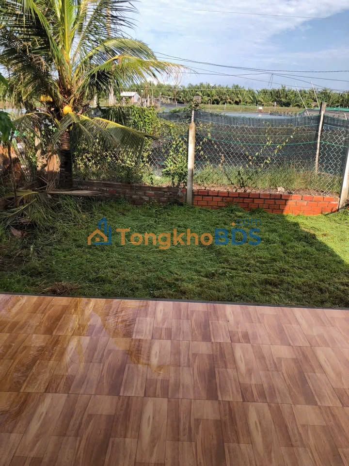 Bán Gấp Đất Vườn 1000m² Có Nhà Cấp 4 Tại Mỹ An, Bến Tre - Giá 750 Triệu