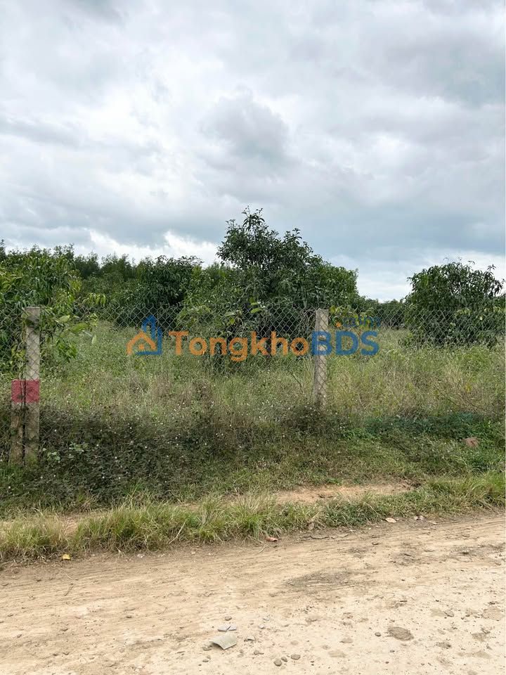 Đất Ninh Hải 530m² Full Thổ Cư - Giá Rẻ Sập Hầm - Sổ Hồng Sẵn Sàng