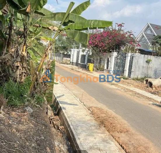 Bán Đất Mặt Tiền Đường Nhựa Tân Uyên, Bình Dương - 484m² Giá Ngộp