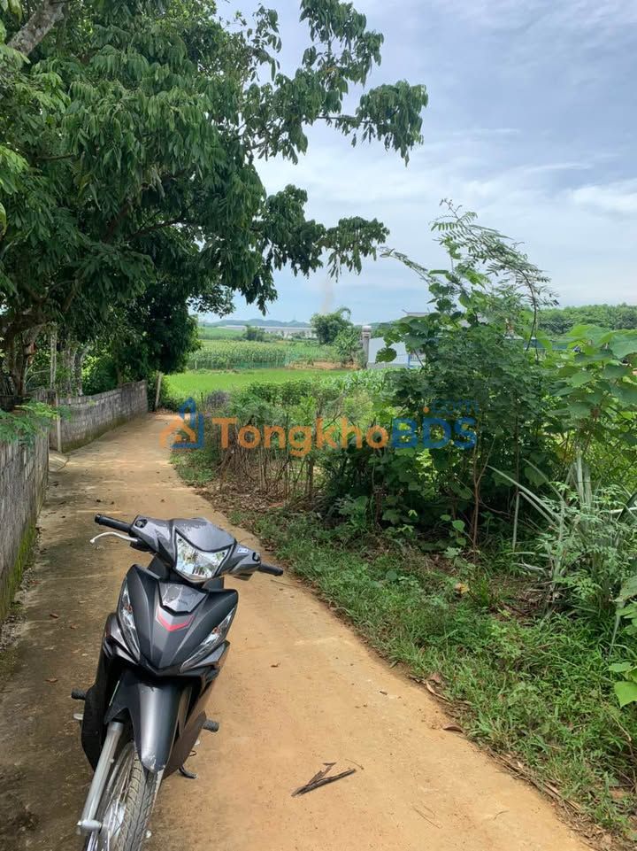 Đất nền Thọ Xuân 525m² - Sổ đỏ sẵn, sát KCN, giá dưới 1 tỷ