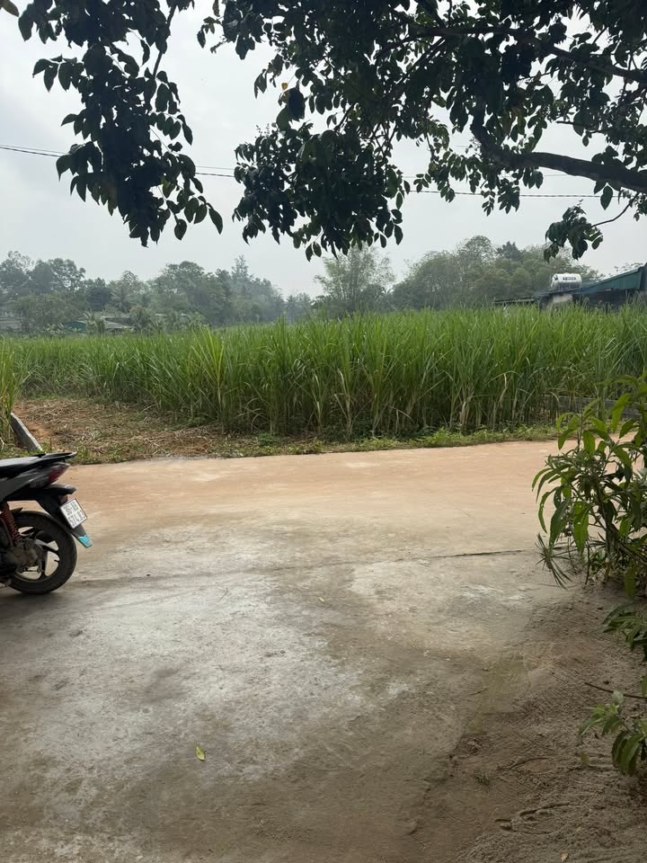 Bán Đất Chính Chủ Thọ Xuân, Thanh Hóa - 532m² Mặt Tiền Rộng, Sổ Hồng