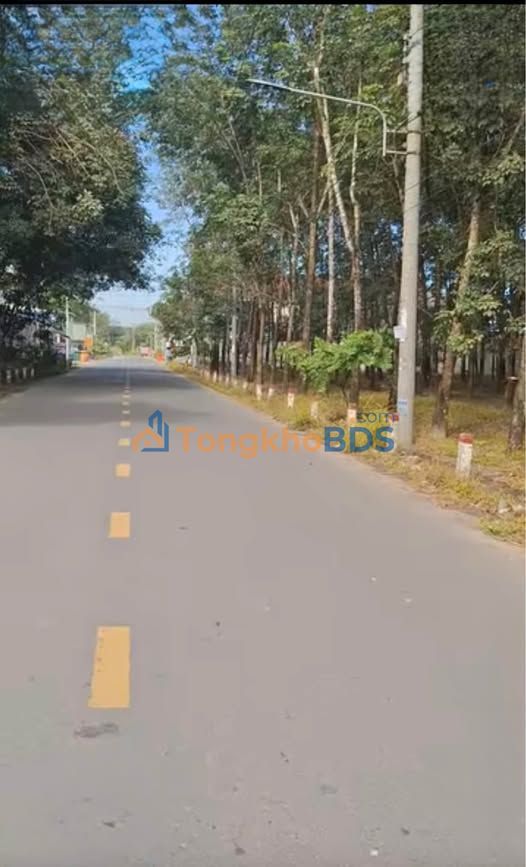 Bán Đất Mặt Tiền Đường Nhựa Tan Hiệp 10, Bắc Tân Uyên - 160m² Giá 4.7 Tỷ