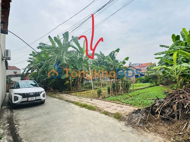 Đất thổ cư Tân An, Bắc Giang 118m² - Sổ đỏ sẵn, ô tô vào nhà