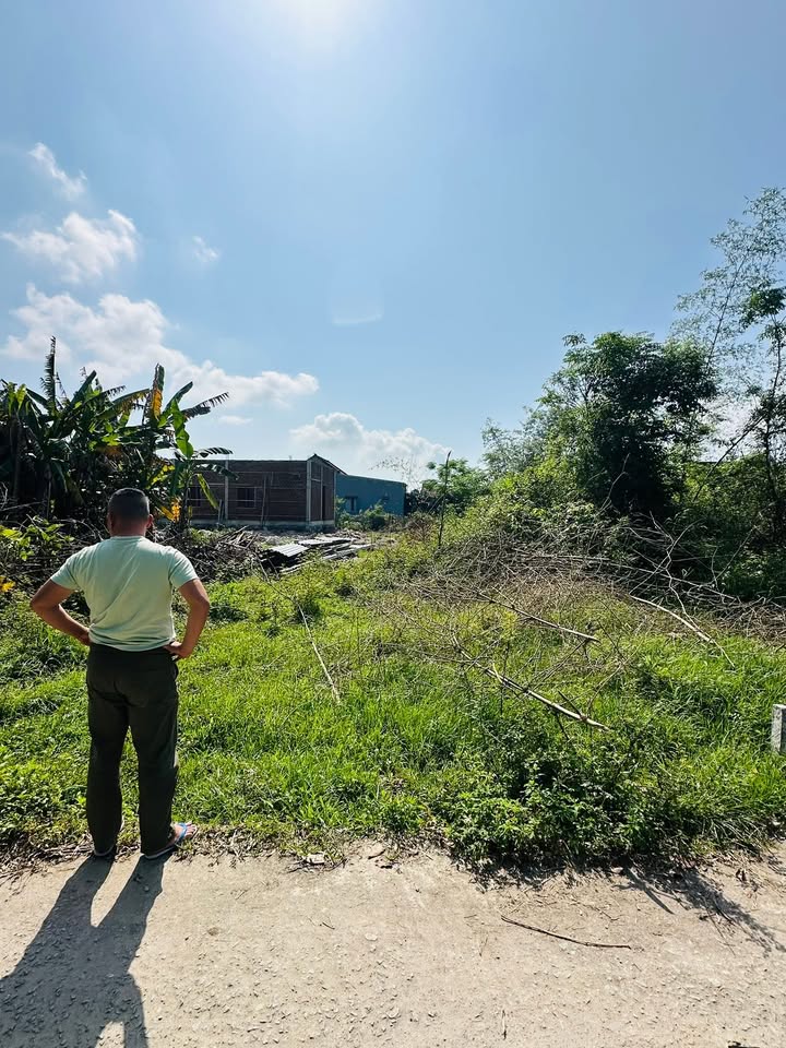 Đất Nền Đà Nẵng - 2 Lô Liền Kề 250m² Giá Chỉ 5xx Triệu/Lô