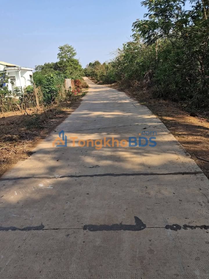 Bán Gấp Farm Xã Ea Nuôl, Buôn Đôn 3600m² - Giá Đầu Tư 460 Triệu