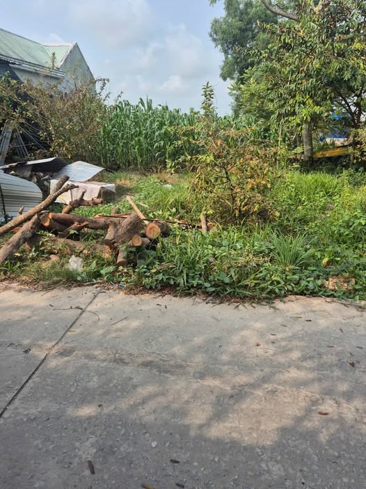 Đất nền Mặt tiền Kinh 5 Thạnh Lộc 396m² - Chính chủ bán gấp