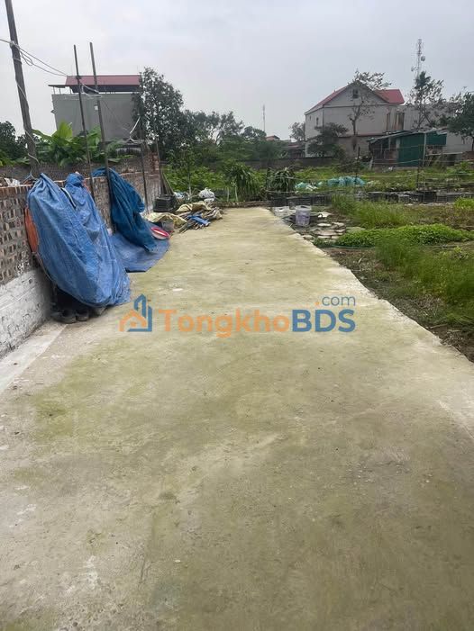 Đất nền Thuận Thành 135m² 2 tỷ - Sổ đỏ chính chủ