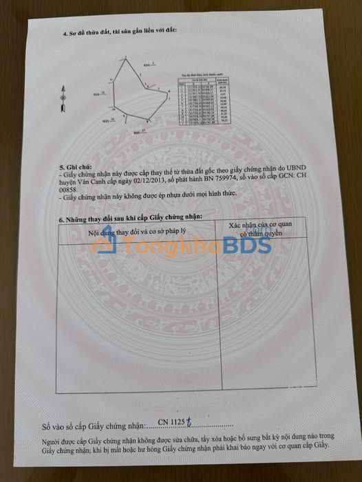 Đất Rừng 10.000m² Gần KCN Becamex Vĩnh Thạnh - Sổ Hồng Chính Chủ