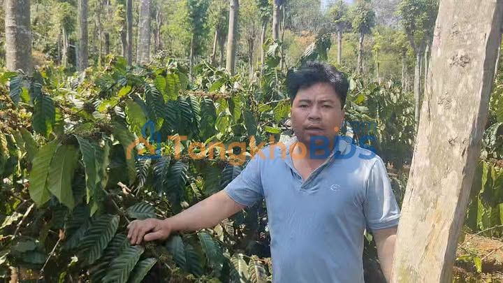 Bán 1.7ha Đất Vườn Đắk Nông - Mặt Tiền 19m Đường Nhựa Lớn, Giá 39.5 Tỷ