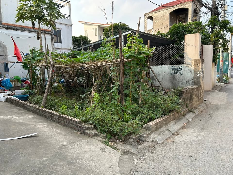 Đất Nền Đông Dư Gia Lâm 50m² - Ô Tô Tránh, Ngõ Thông, Tiềm Năng Kinh Doanh