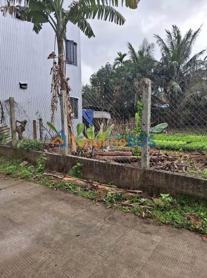 Đất Nền Tam Xuân II (Núi Thành) 100m² - Gần Quốc Lộ 1A, Giá 690 Triệu