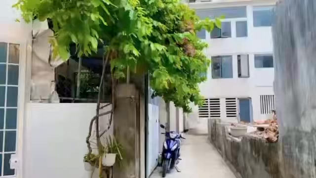 Nhà Hẻm Nguyễn Thái Học, Tuy Hoà - 113m² Ngang Rộng, Giá 2.5 Tỷ