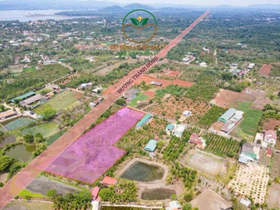 Đất 2 Mặt Tiền 9000m² Đường Tránh Đông, Đông Hòa, Phú Yên - Giá 5.5 Tỷ