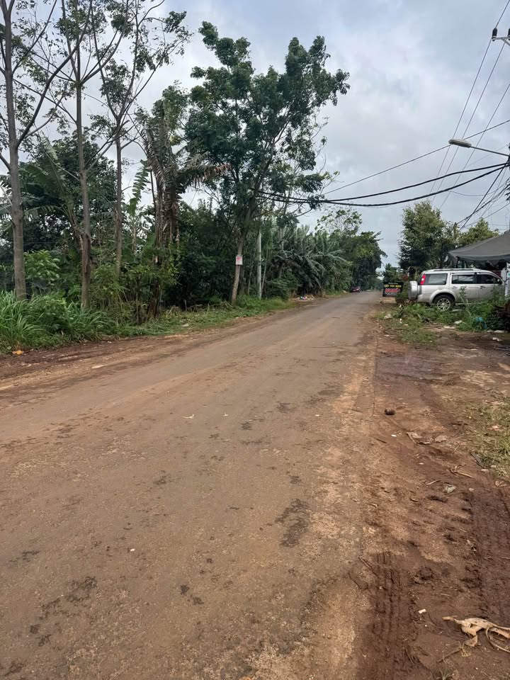 Đất Mặt Tiền Thế Lữ - Tân Lập, Buôn Ma Thuột - 130m² Giá Tốt Đầu Tư