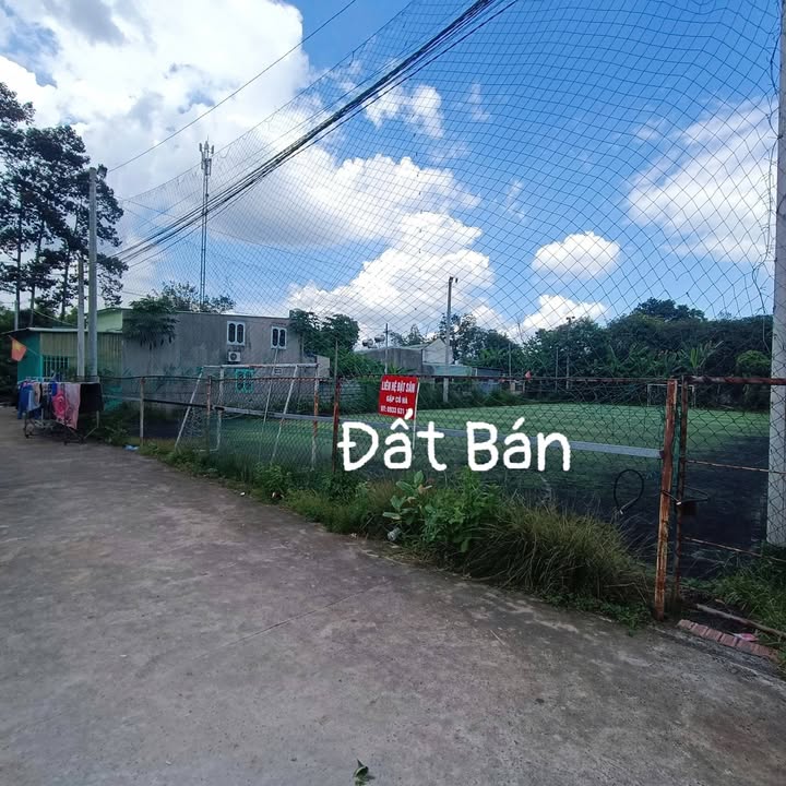 Bán Đất OĐT 988m² TP Biên Hòa - Sổ Hồng Sẵn, Góc 2 Mặt Tiền Giá 4.3 Tỷ