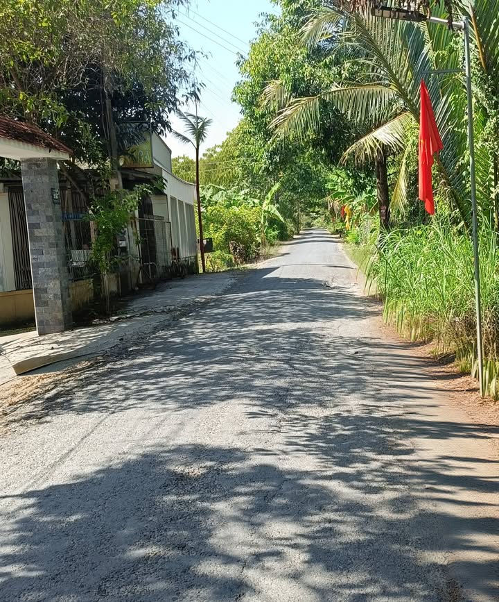 Bán Đất Vũng Liêm Vĩnh Long 824m² - Mặt Tiền Đường Nhựa, Gần Chợ, Trường Học