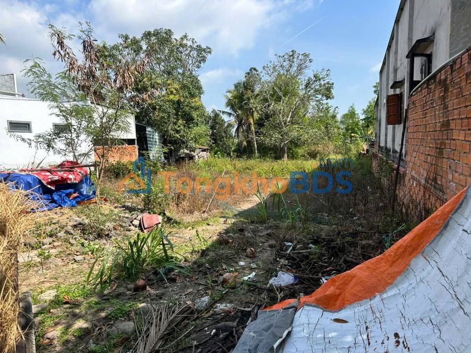 Đất Nền 600m² Tân Xuân, La Gi, Bình Thuận - Sổ Đỏ Chính Chủ, Giá 1.5 Tỷ