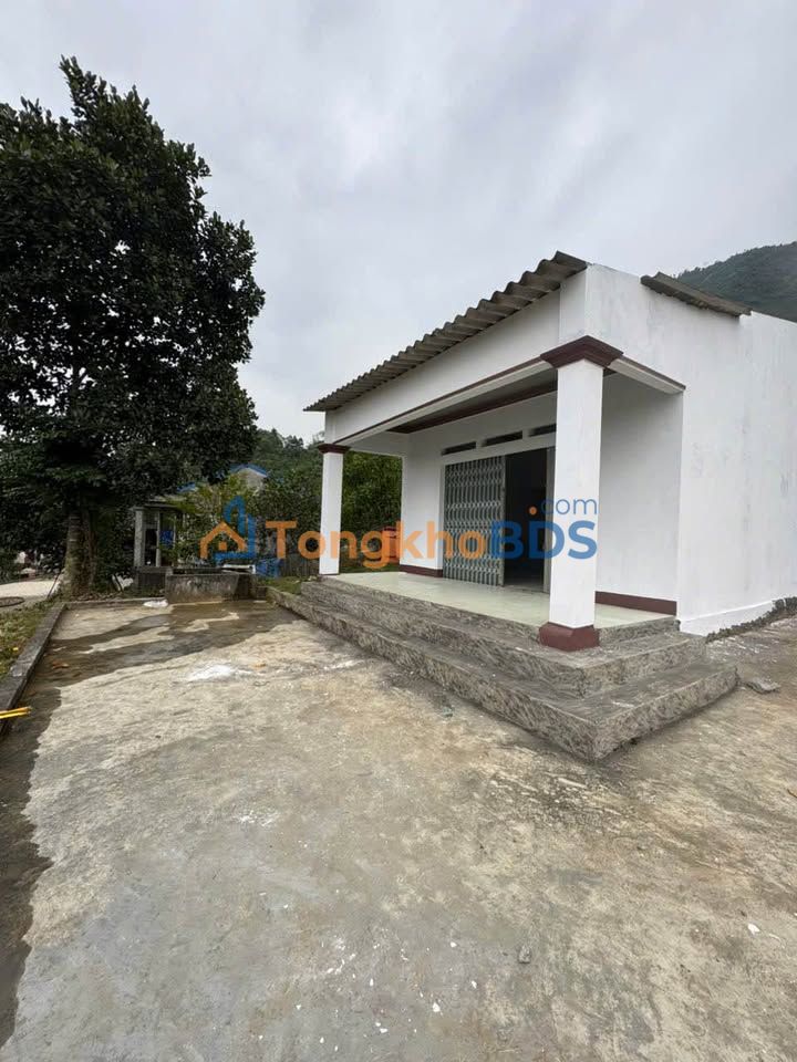 Bán Đất Xã Xuân Viên, Phú Thọ - 500m² Đất Ở, Lô Góc, Sẵn Ở Ngay!