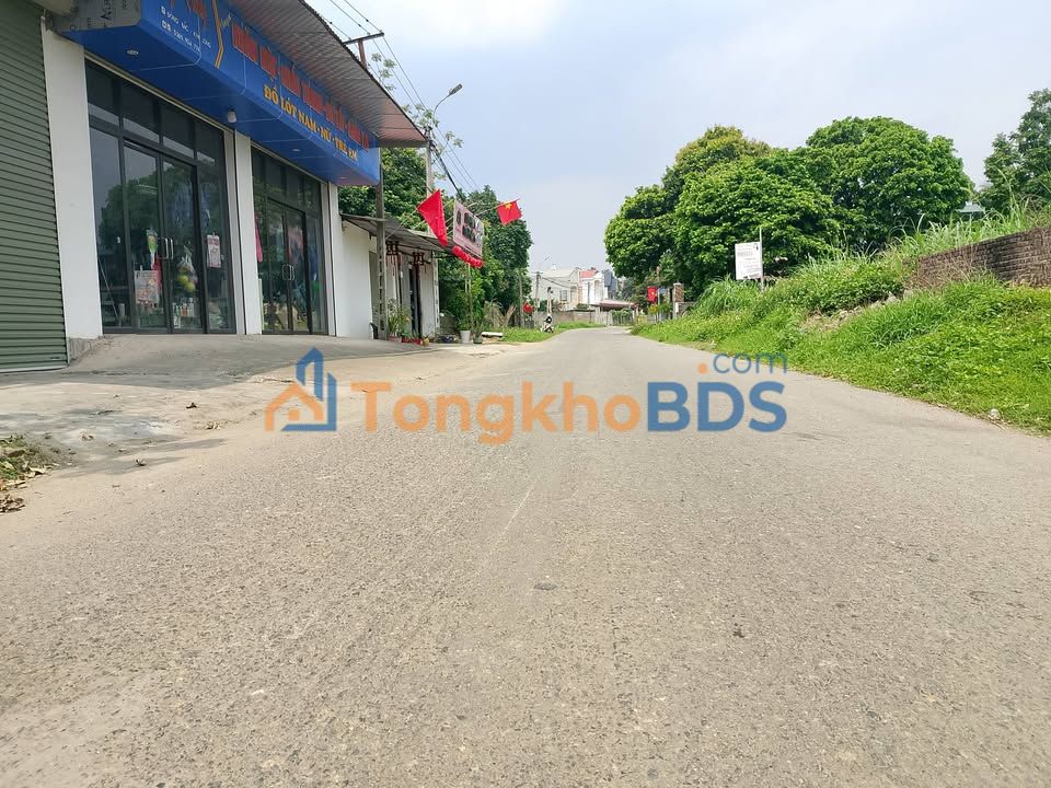 Đất Nền Trục Chính Chợ Số 8, Tam Dương 100m² - Kinh Doanh Đắc Lộc
