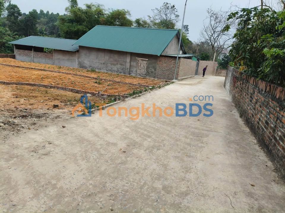 Bán Đất Nền Làng Mấu, Tam Quan, Tương Dương - 100m² Giá Chỉ 4xx Triệu