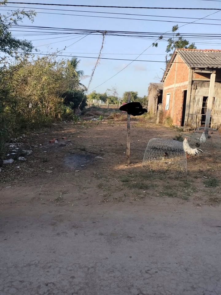 Đất nền mặt tiền đường 254.5m² xã Thừa Đức, Bình Đại - Giá 750 triệu