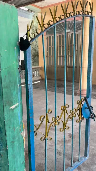 Nhà 300m² Ấp 3 Bình Đại, Ba Tri - Sổ Hồng, Giá 1.55 Tỷ