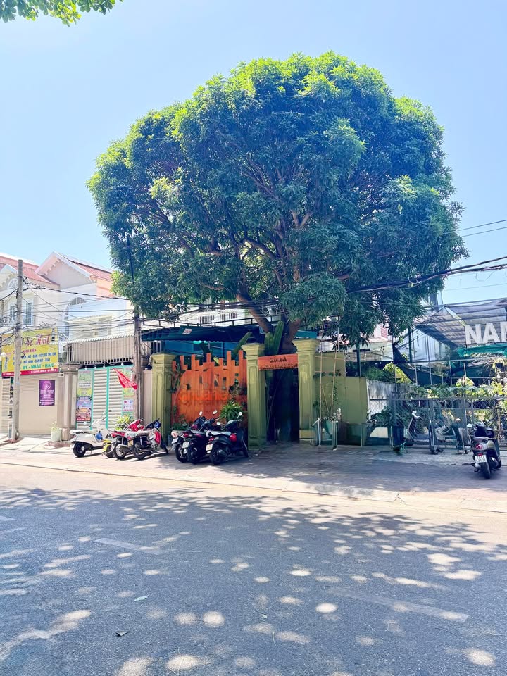 Nhà Mặt Tiền Pasteur, Vũng Tàu - 209m² - Kinh Doanh Đỉnh Cao - 21.5 Tỷ