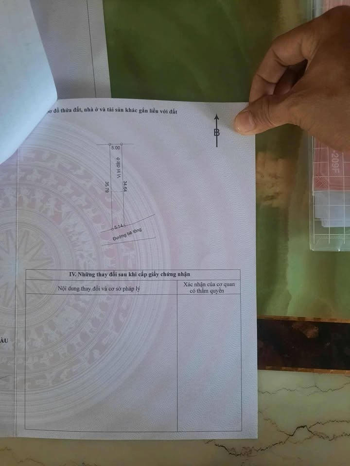 Bán Gấp 2 Lô Đất Long Hải 346m² Mặt Tiền Võ Thị Sáu - Sổ Hồng Sẵn Sàng