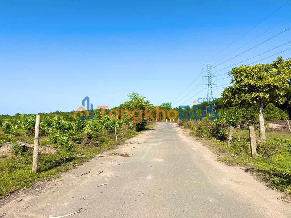 Đất Nền 1000m² Mặt Tiền Đường Nhựa Xã Hòa Hội, Xuyên Mộc - Giá Tốt 900 Triệu