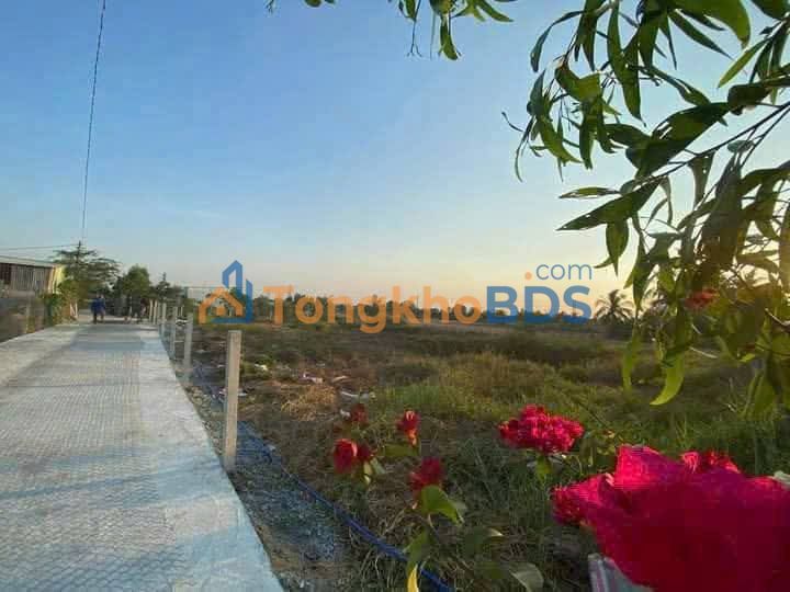 Bán Đất Long Thượng Cần Giuộc 1000m² Sổ Hồng - Giá Đầu Tư 2.5 Tỷ