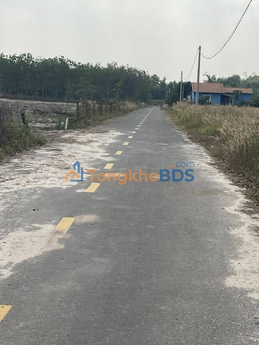 Đất Nền Bàu Bàng 357m² Sổ Sẵn - Ngay KCN Cây Trường