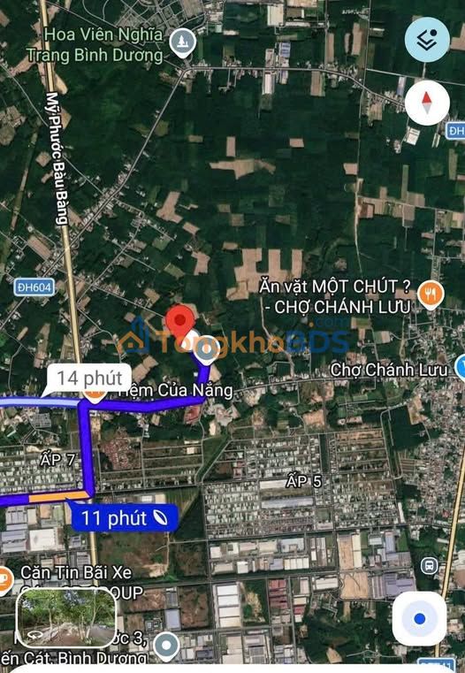 Đất Nền Mặt Tiền Nhựa Bàu Bàng 7300m² - Giá 13 Tỷ Hấp Dẫn