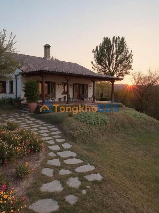 Farm Xuân Trường Đà Lạt 20.000m² thỏa thuận - Pháp lý rõ ràng